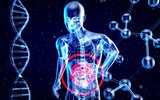 Dietetyk a gospodarka hormonalna - komu może pomóc i jak dieta wpływa na równowagę hormonów?