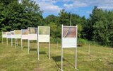 Krynice: Deszczowe spotkanie miłośników poezji i sztuki (foto)