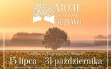 Krynice: Roztoczańskie drzewa na fotografii po raz siódmy