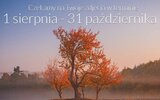 Krynice: Ósmy konkurs roztoczańskich drzew na fotografii