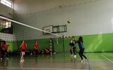 Modliborzyce: Powiatowe igrzyska siatkarskich 