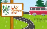 Siennica Różana: Wakacyjna wyprawa dla leśnych odkrywców