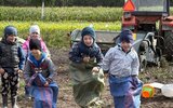 Nowodwór: Wykopki przedszkolaków (foto)