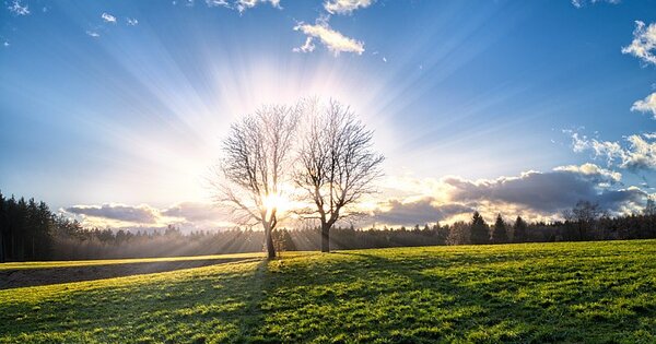 Gmina Krasnystaw: Powstanie spółdzielnia energetyczna, będą oszczędności